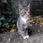 Ostoja * Ślesin