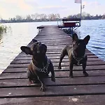 Ostoja * Ślesin